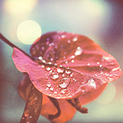 云呼电话测压网页版